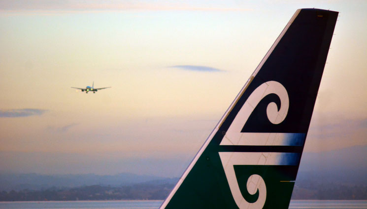 International Repatriation